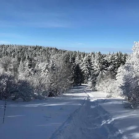 T3 Au Mont-dore Avec Wi-fi, A 400m Du Centre Appartement *