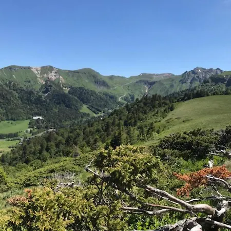 T3 Au Mont-dore Avec Wi-fi, à 400m Du Centre - Fr-1-608-50 Appartamento *