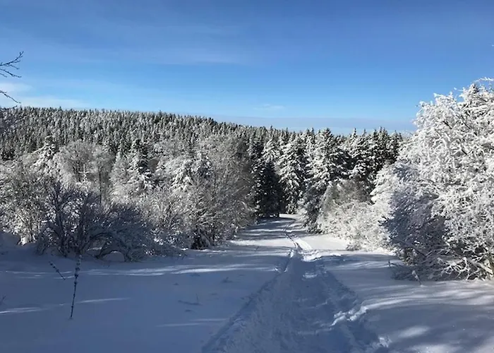 T3 Au Mont-dore Avec Wi-fi, A 400m Du Centre - Fr-1-608-50 Lejlighed *