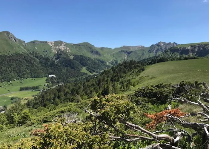 T3 Au Mont-dore Avec Wi-fi, A 400m Du Centre - Fr-1-608-50 Lejlighed *